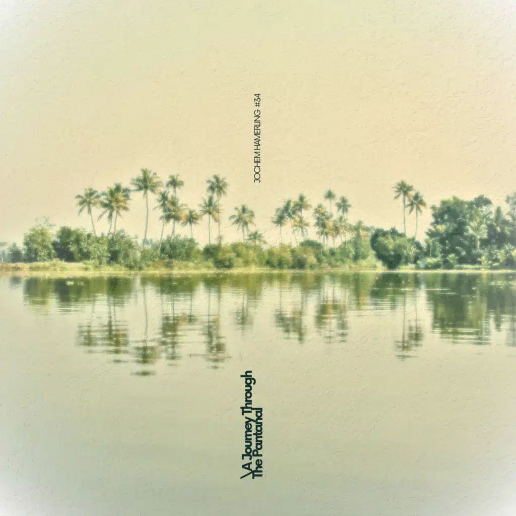 A Journey Through The Pantanal
