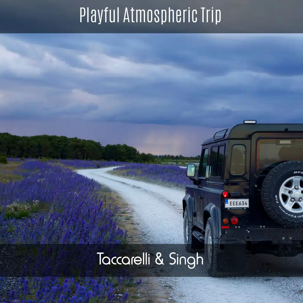 Playful Atmospheric Trip