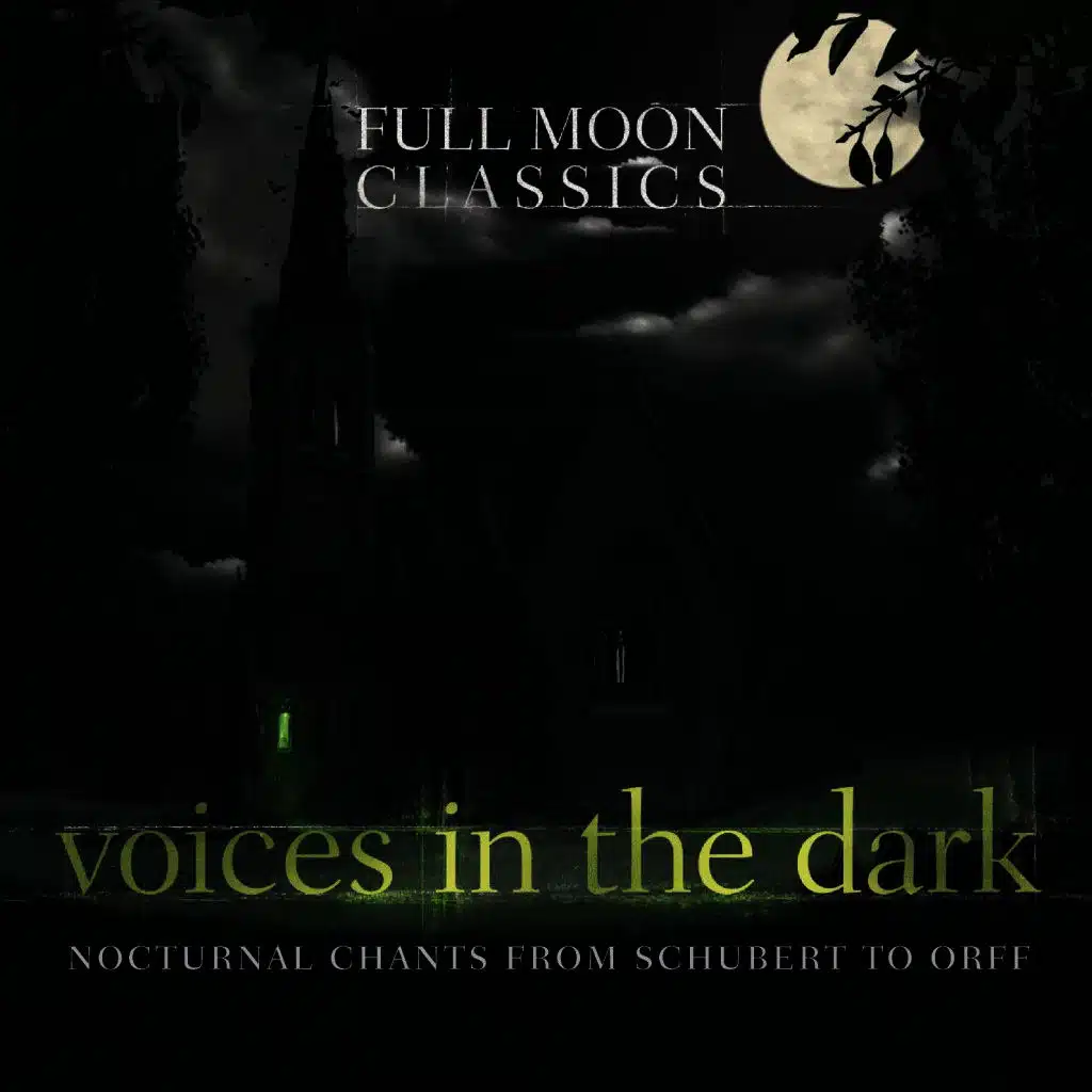 Voices in the Dark