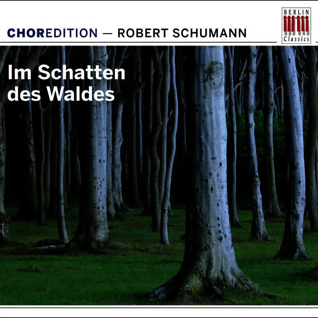 Im Schatten des Waldes