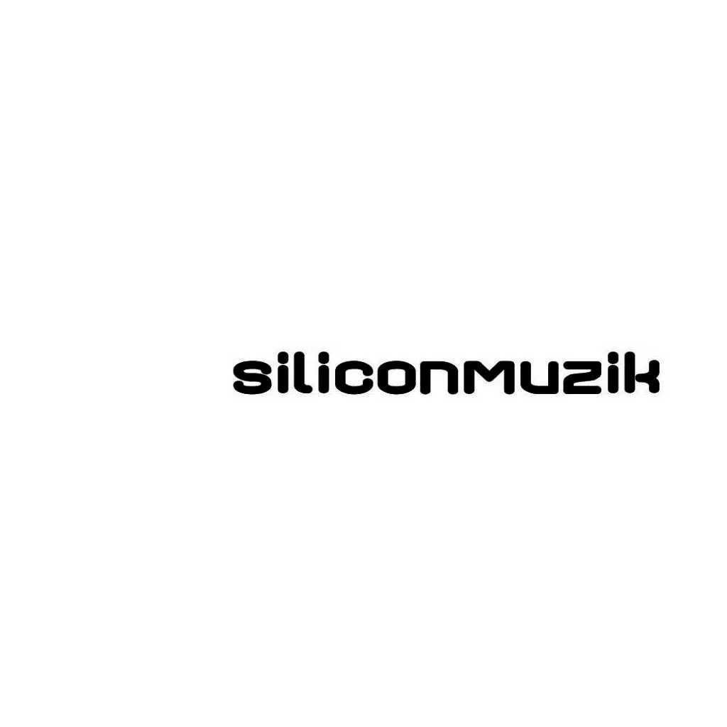 Silicon Summer 2010