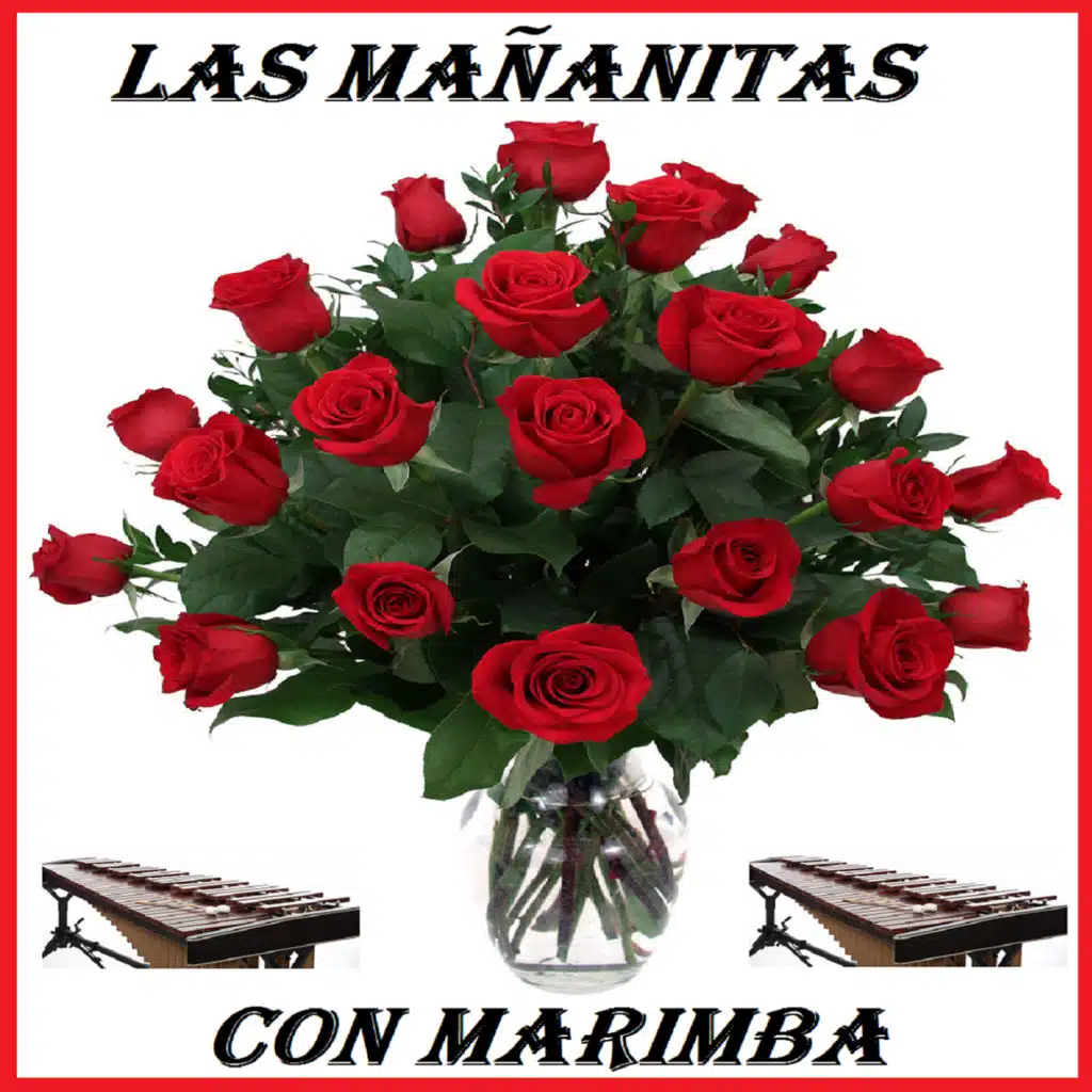 Con Marimba