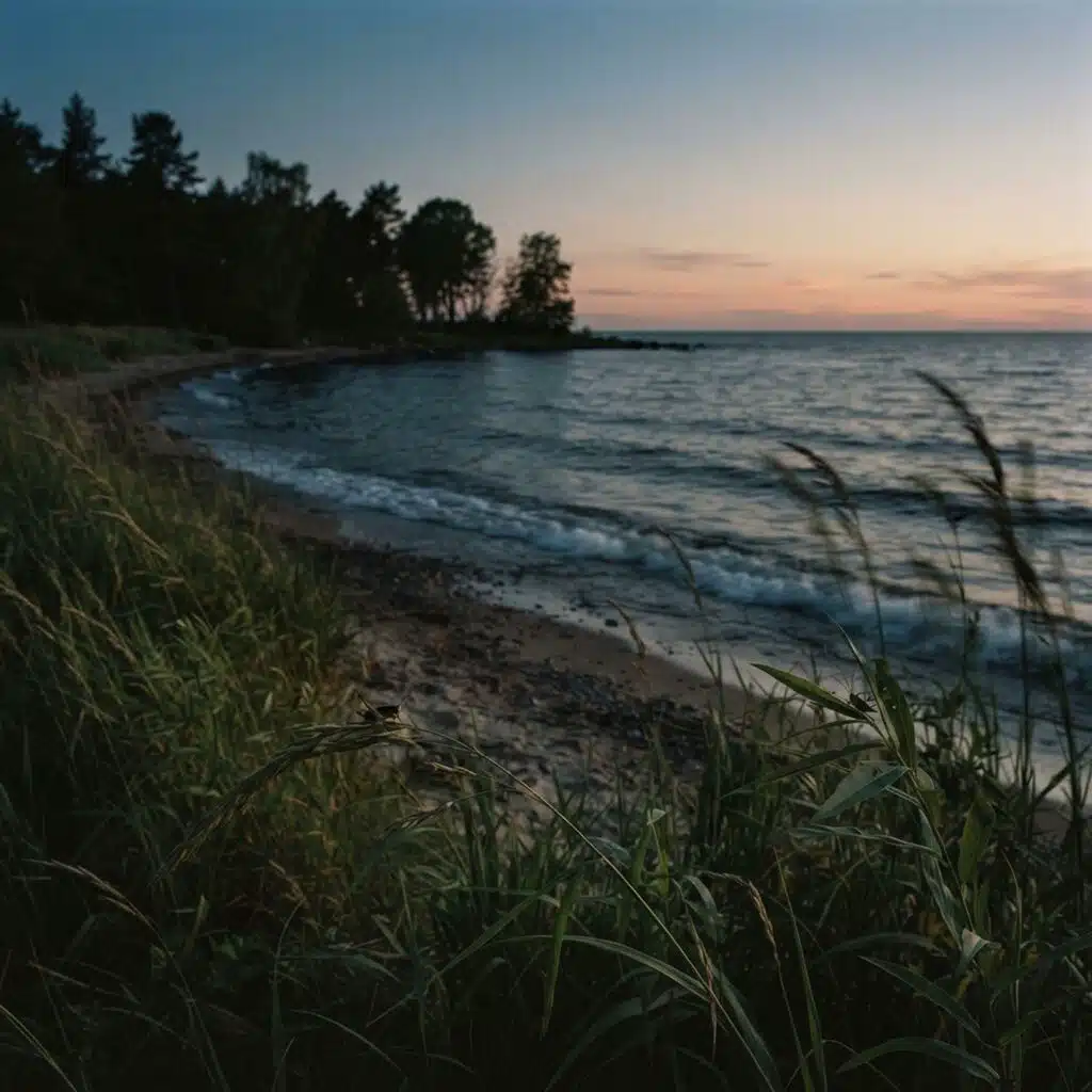 Serene Soundscapes of Nature with Brown Noise and Gentle Winds