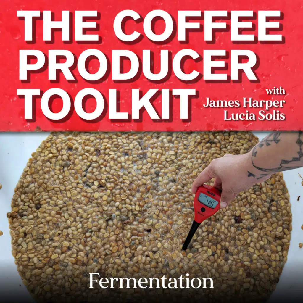 Producer Toolkit: Fermentation, Pt 3 - Is using yeast cheating? And who decides?