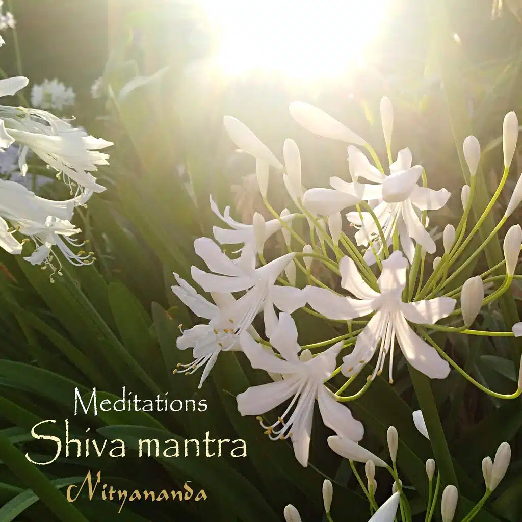 Shiva Mantra Meditations