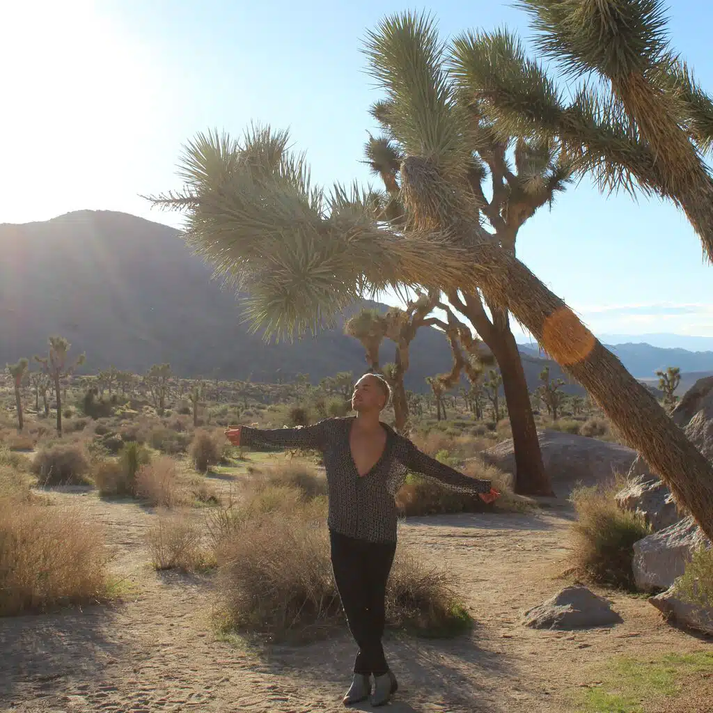 TRANSMISSION: A SIGNAL FROM JOSHUA TREE