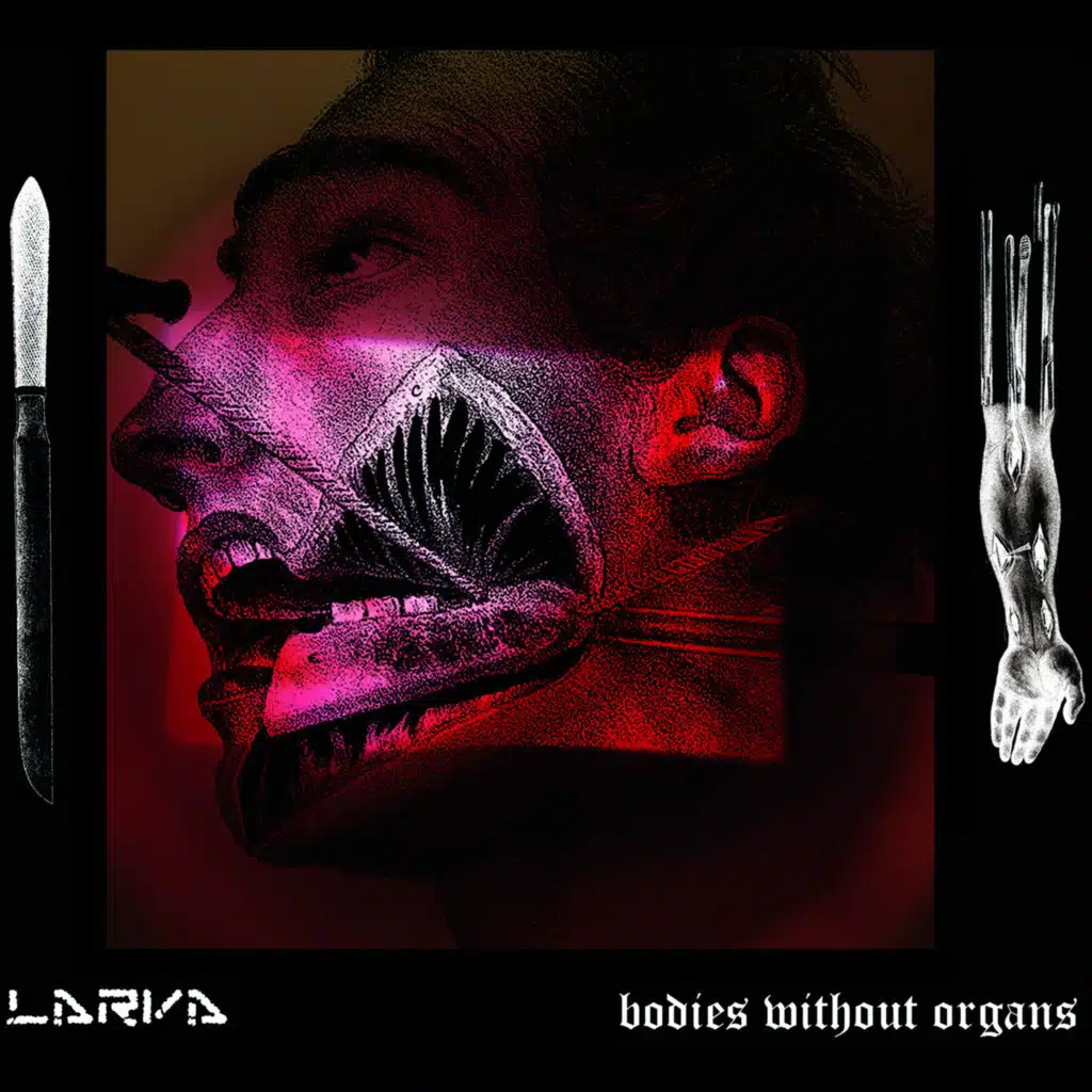 Bodies Without Organs