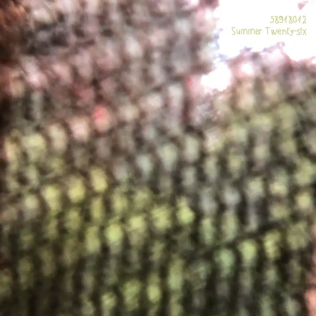 Summer Twenty-six
