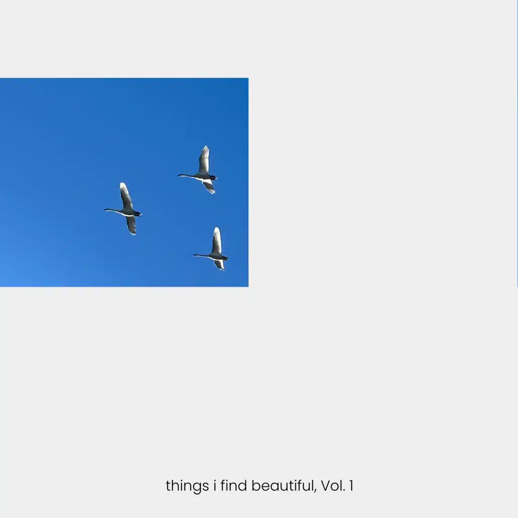 things i find beautiful, Vol. 1