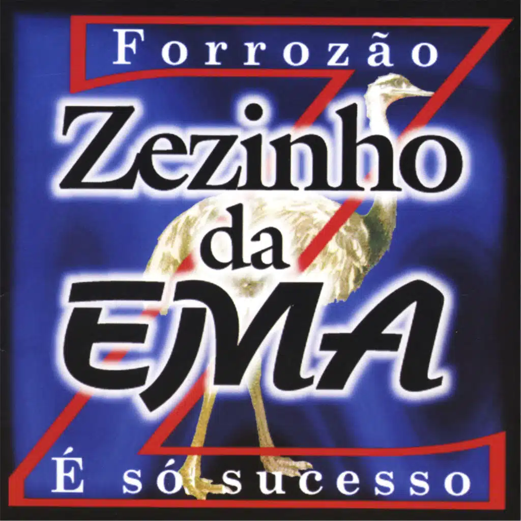 Forrozão É Só Sucesso