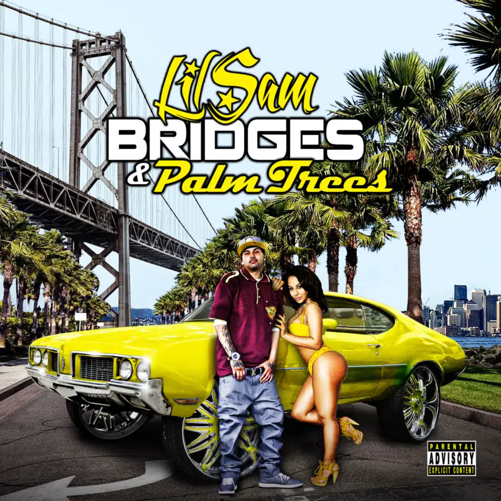 Bridges & Palm Trees