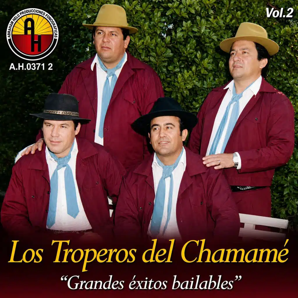 Grandes exitos bailables