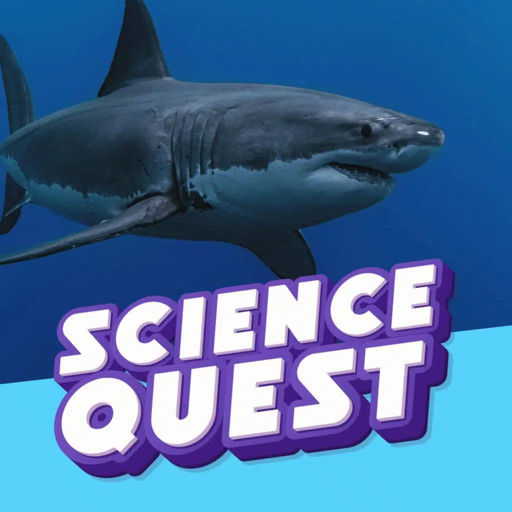 What's The Deadliest Animal in History?
