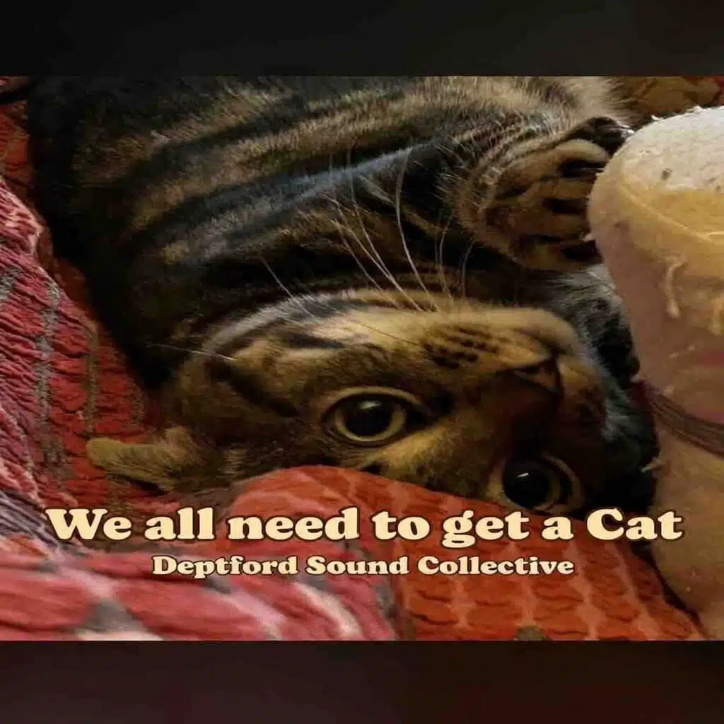 We All Need a Cat
