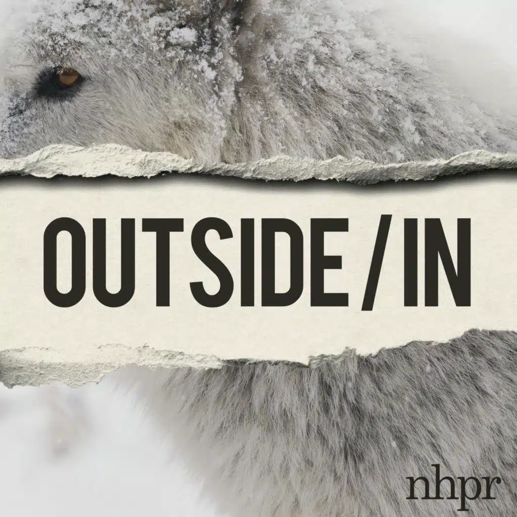 Scientists spoke up against a de-extinction company. Then the smears began.