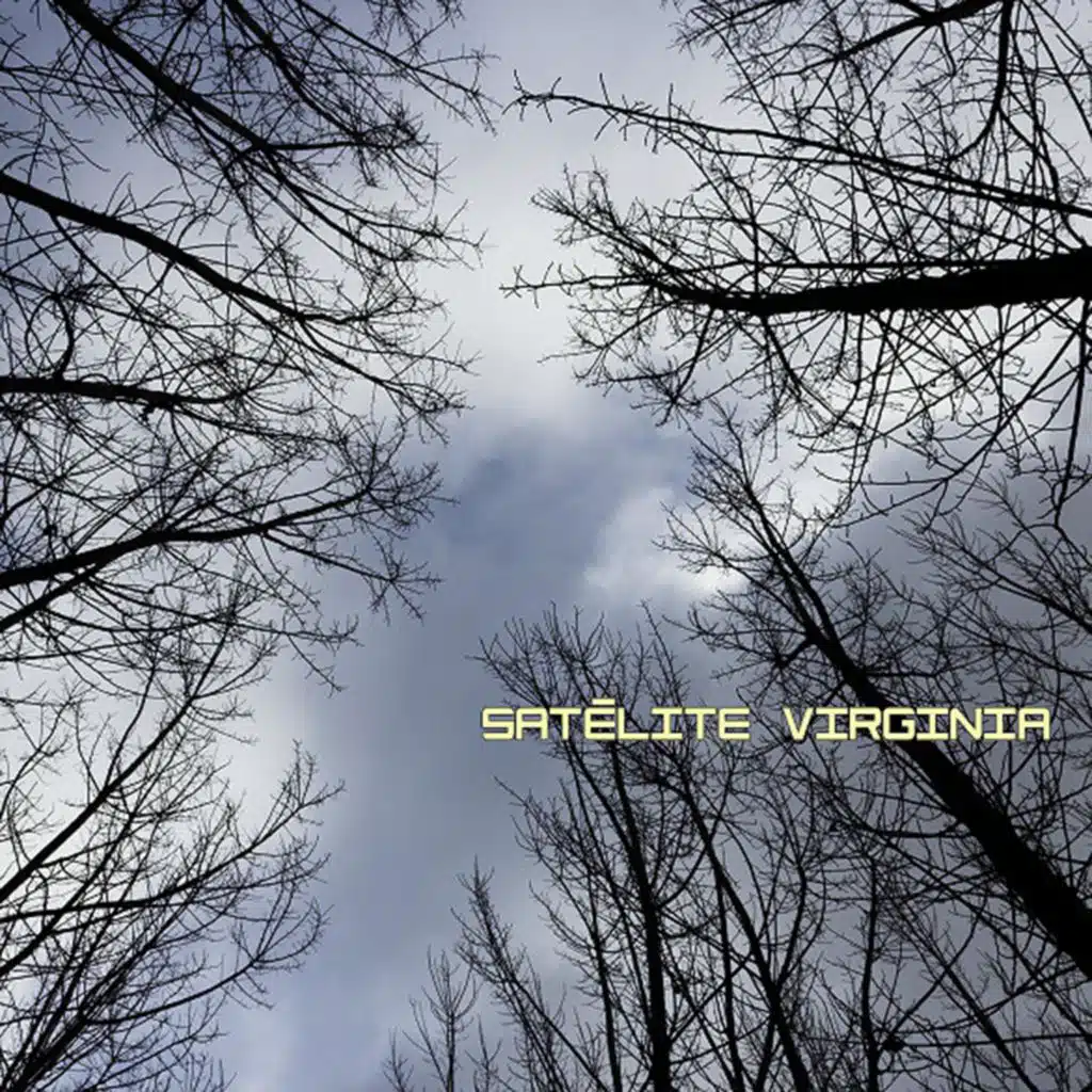 Satélite Virginia