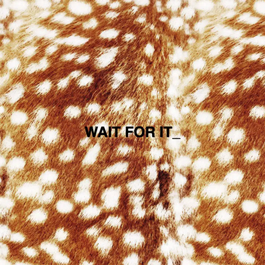 WAIT FOR IT_