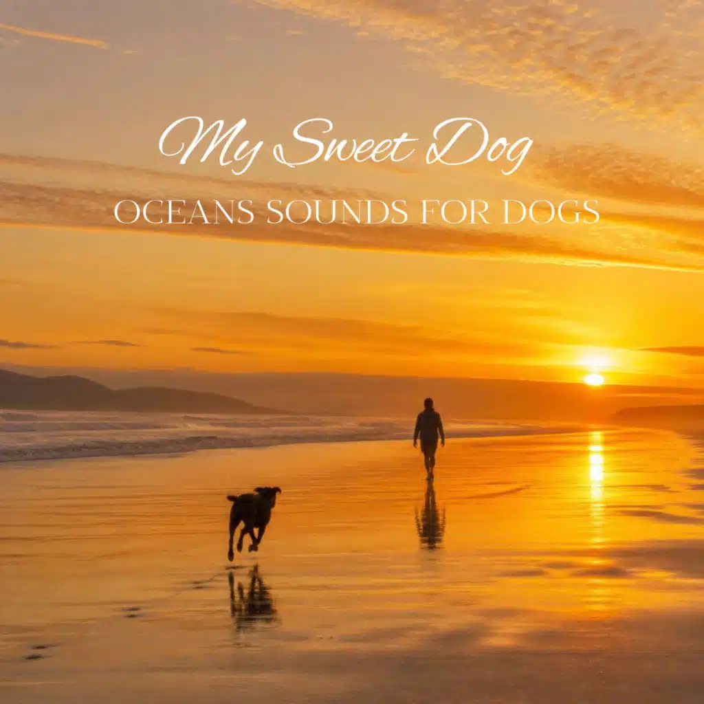 My Sweet Dog - Oceans Sounds for Dogs