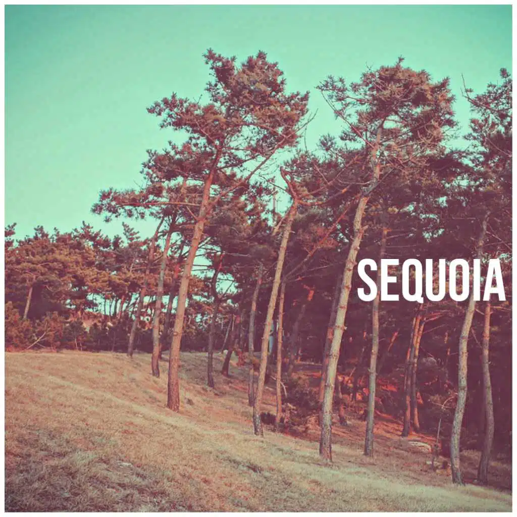 Seqouia