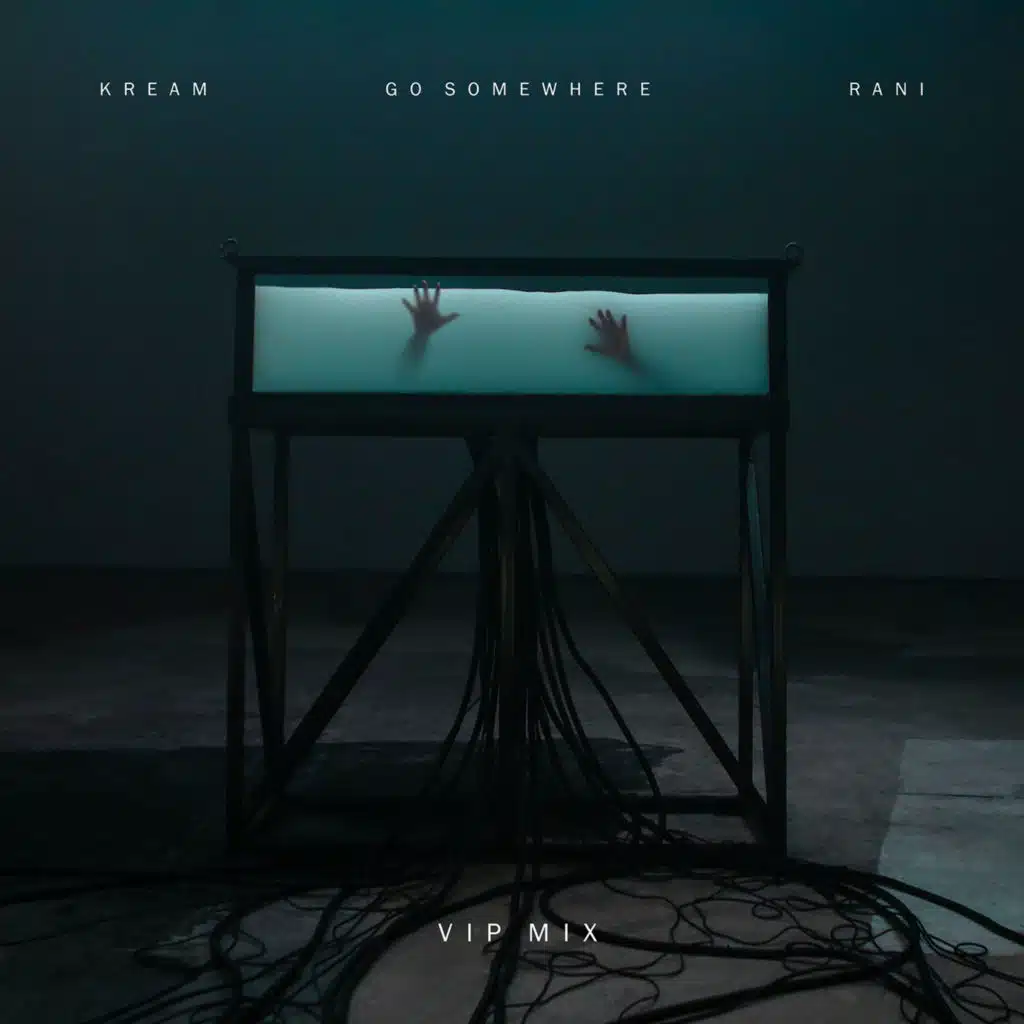 Go Somewhere (feat. RANI) [VIP Mix]