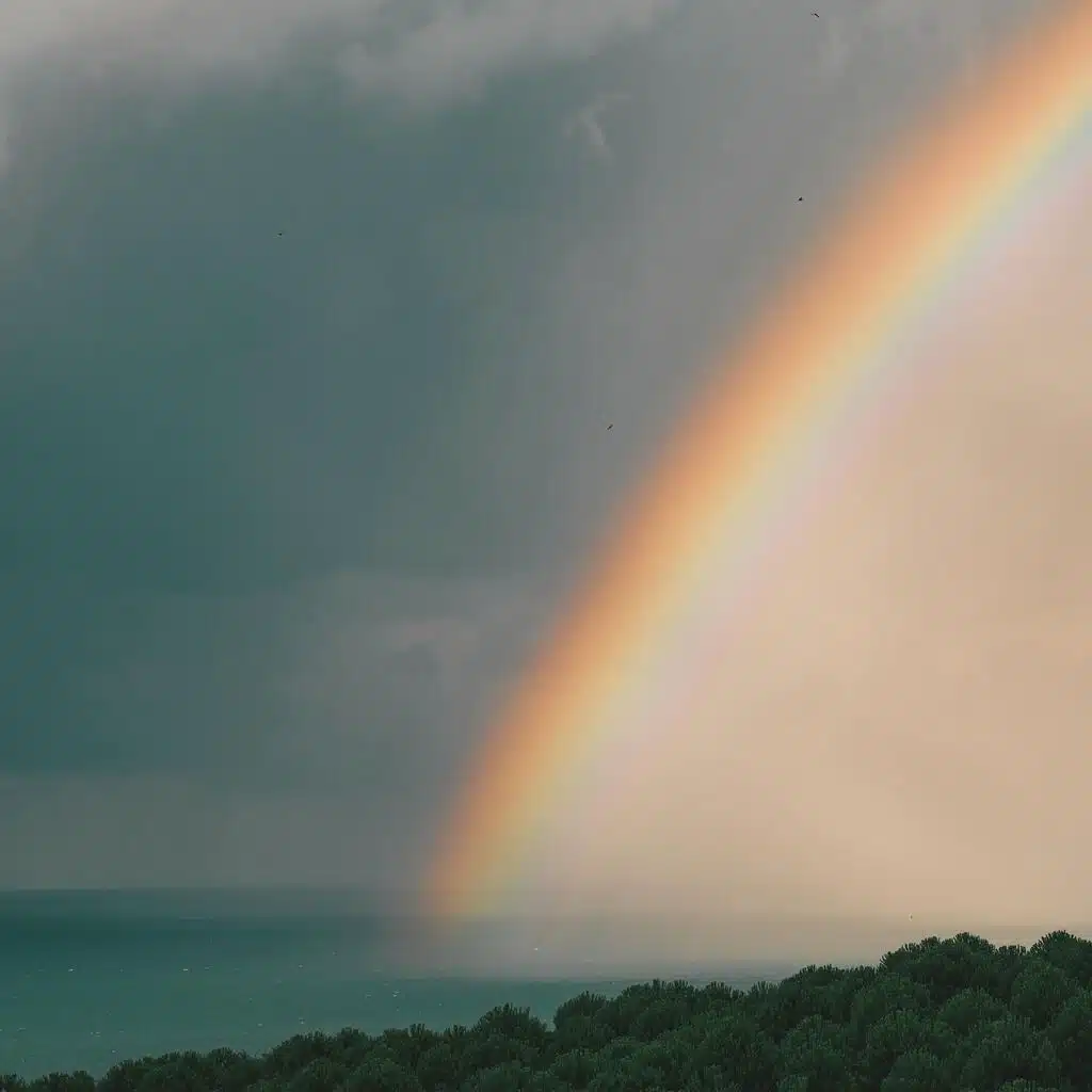 after the rain