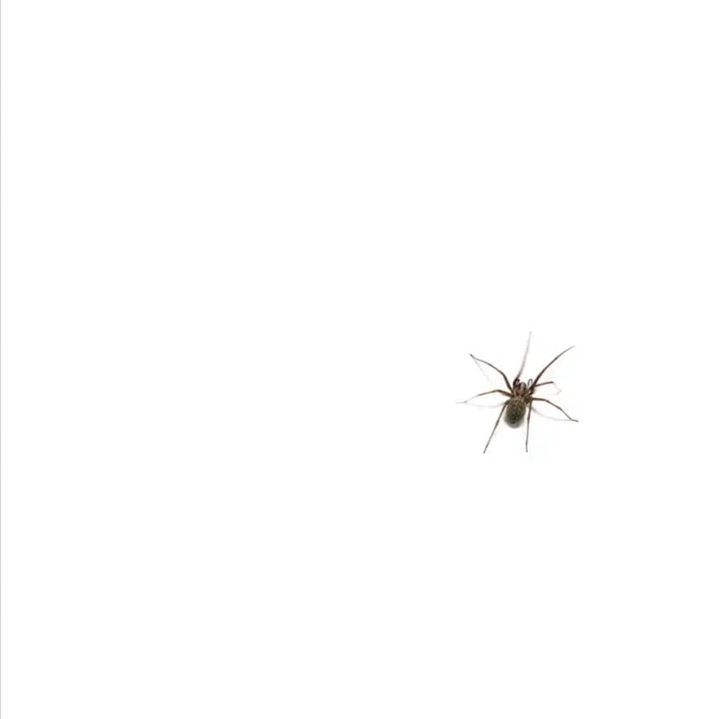 Concept (feat. Lox)