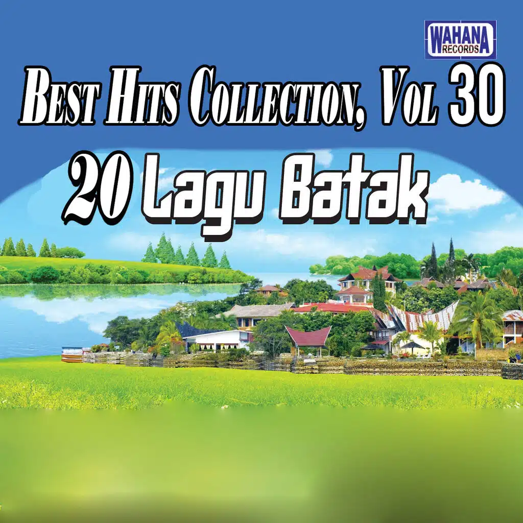 Best Hits Collection, Vol. 30