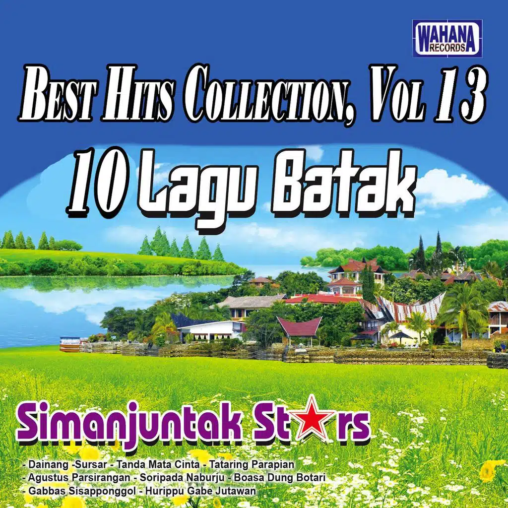 Best Hits Collection, Vol. 13