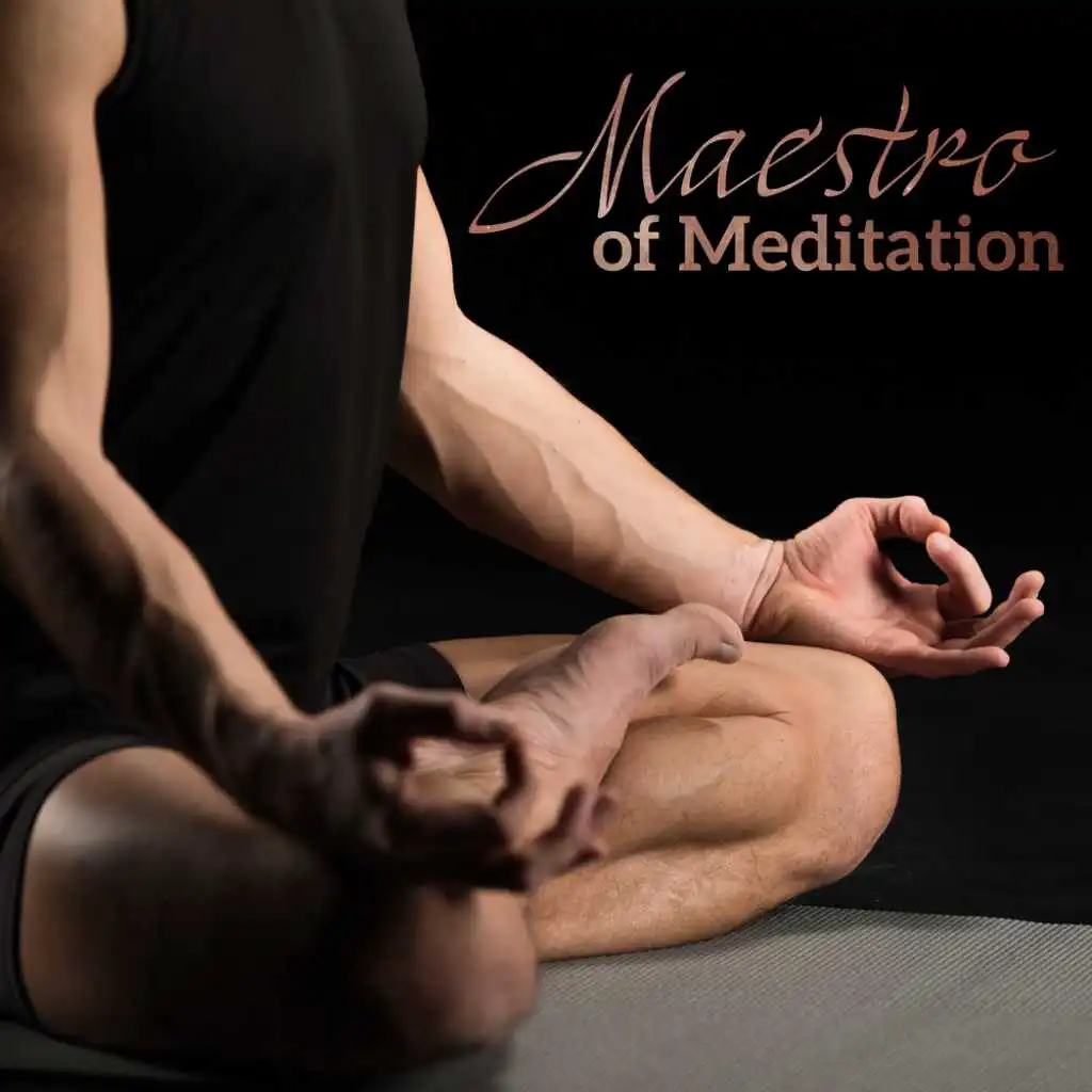 Maestro of Meditation (Calming Melody)