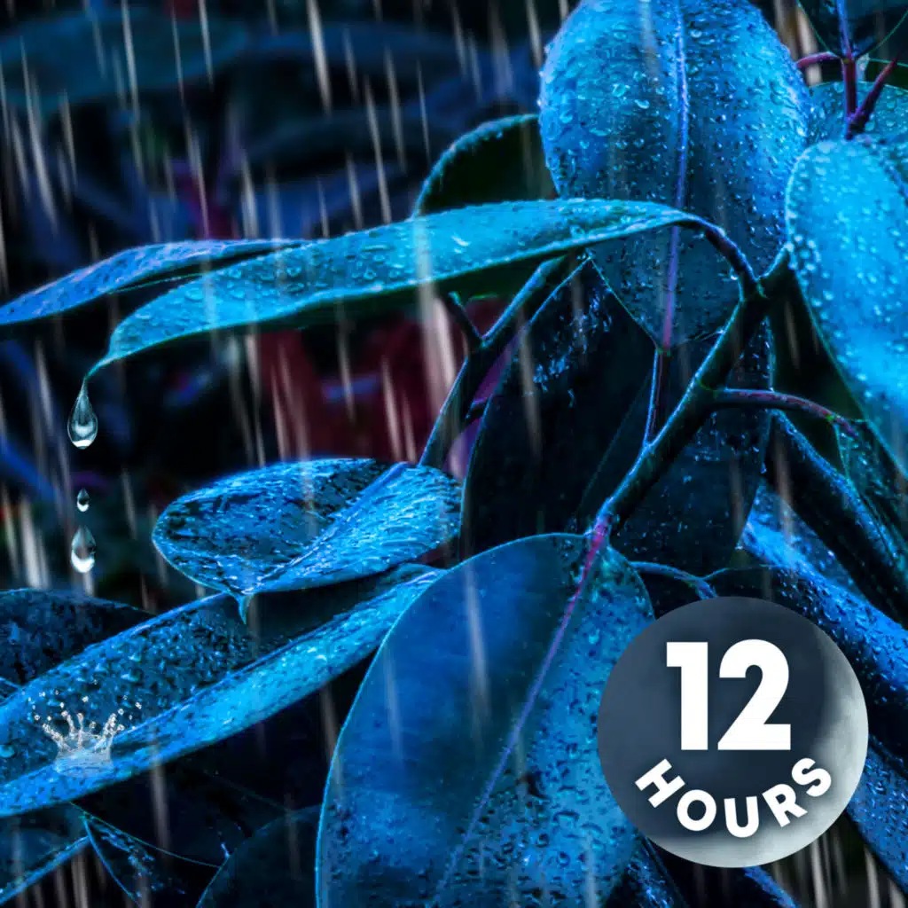 Heavy Rain Noise for Sleeping | 12 Hour Rainforest Sounds for Deep Sleep