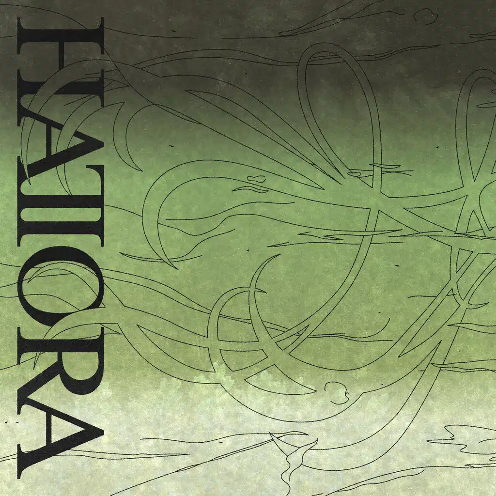 Hatiora: Plantwave