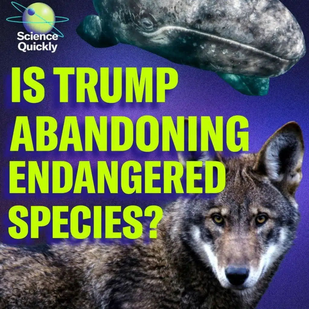 Is Trump abandoning endangered species?