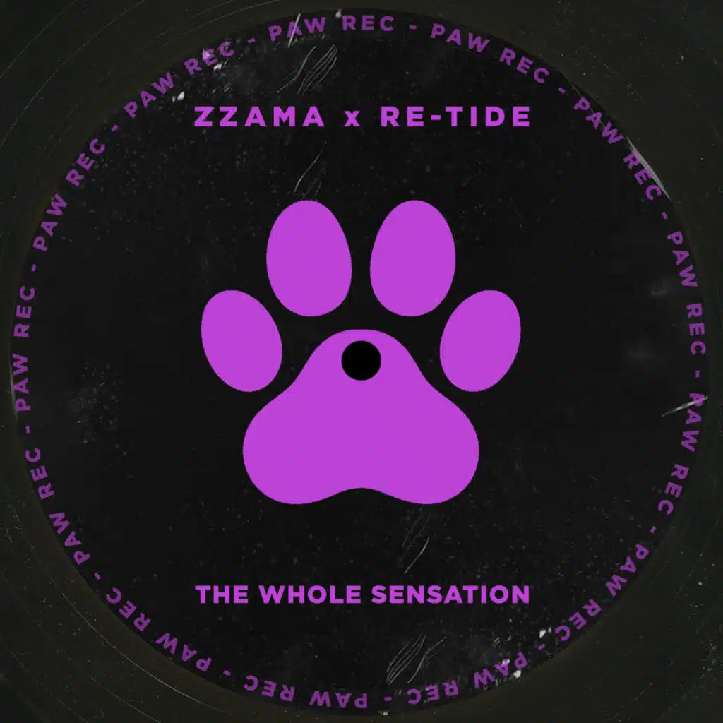 The Whole Sensation
