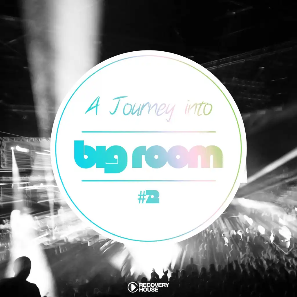 A Journey Into Big Room, Vol. 2