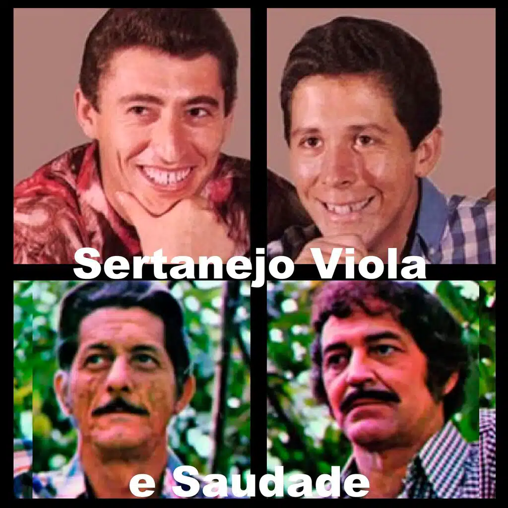 Sertanejo Viola e Saudade