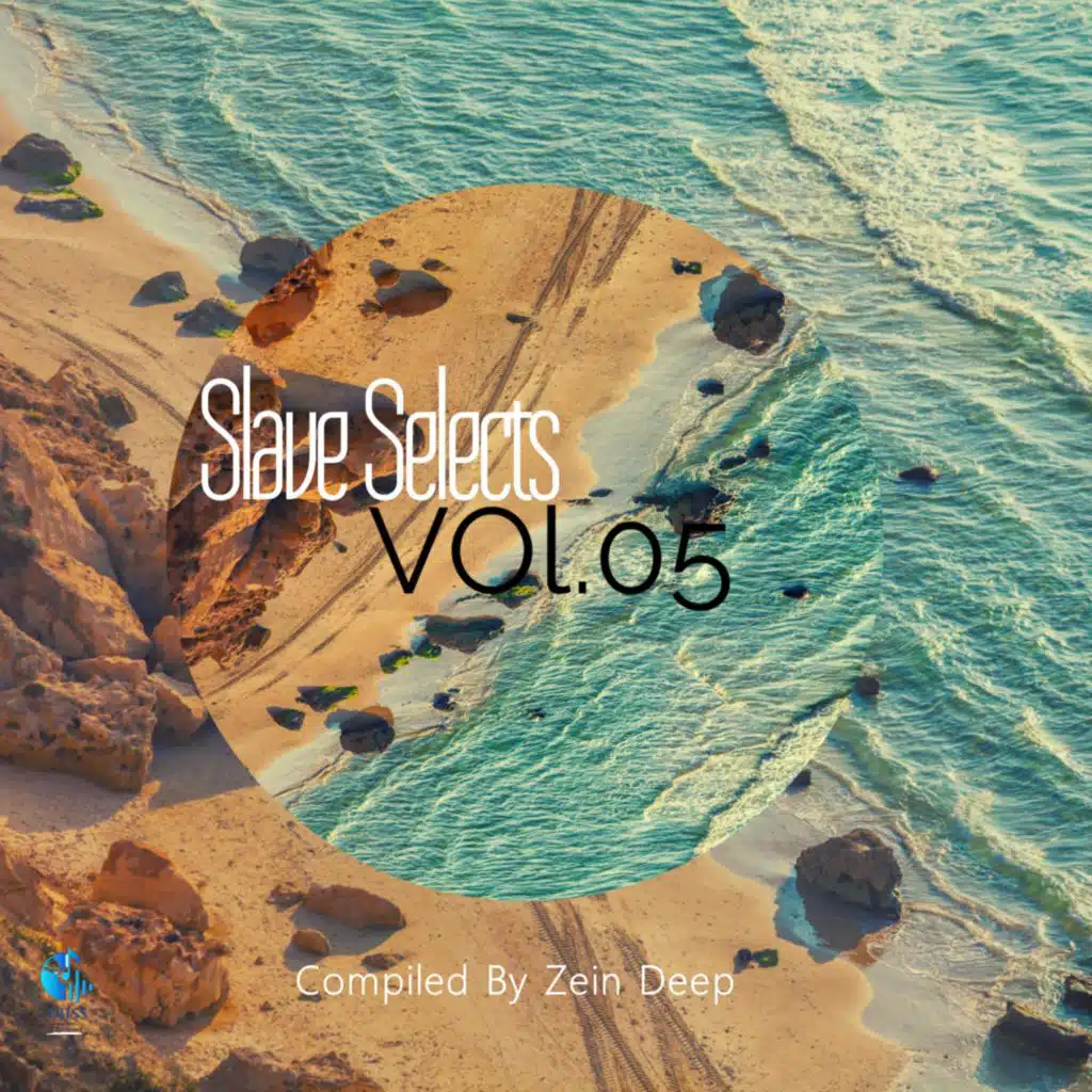 Slave Selects, Vol.05 (Compiled By Zein Deep)