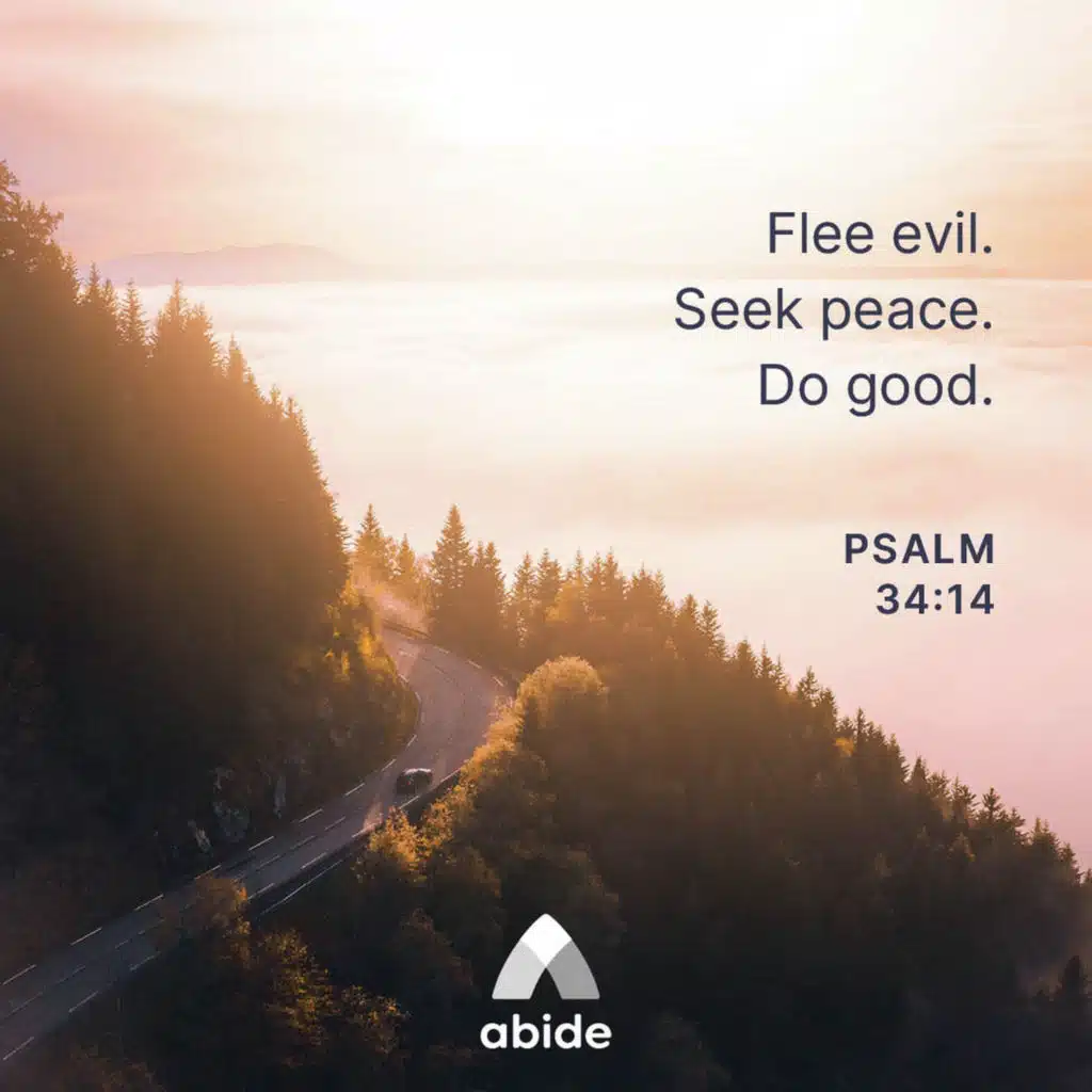 Be the Light