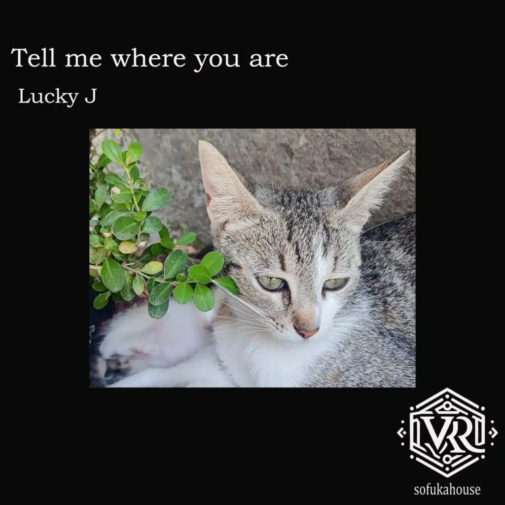 Tell me where you are