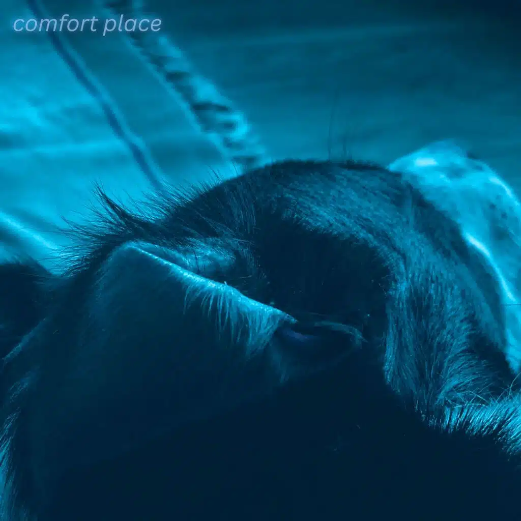 Comfort Place