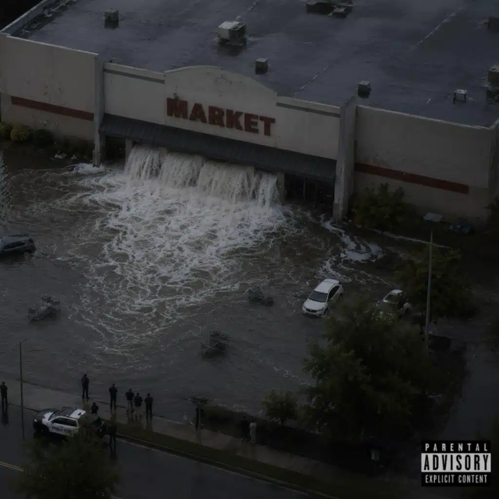 FLOOD THE MARKET