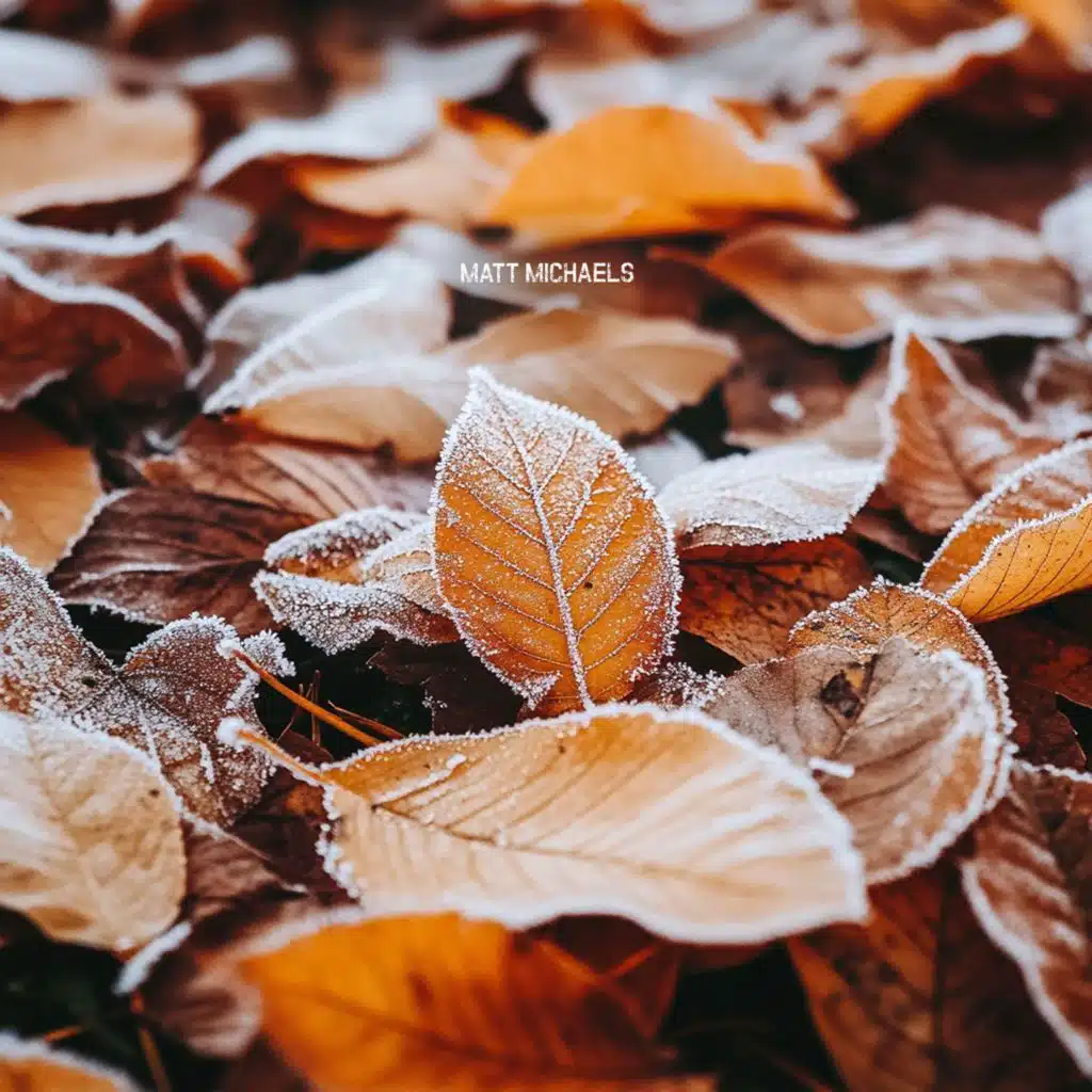 Chilly Outside