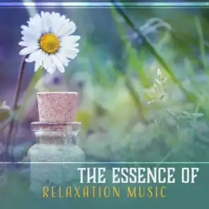 The Essence of Relaxation Music – Zen Instrumental Background with Soothing Sounds of Nature for Stress Relief, Meditation Yoga Exercises