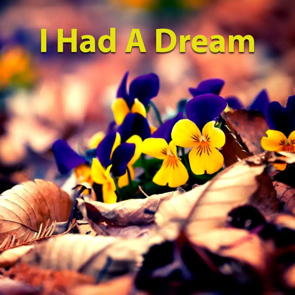 I Had A Dream