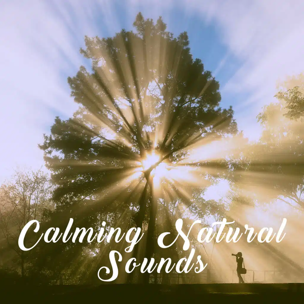 Calming Natural Sounds