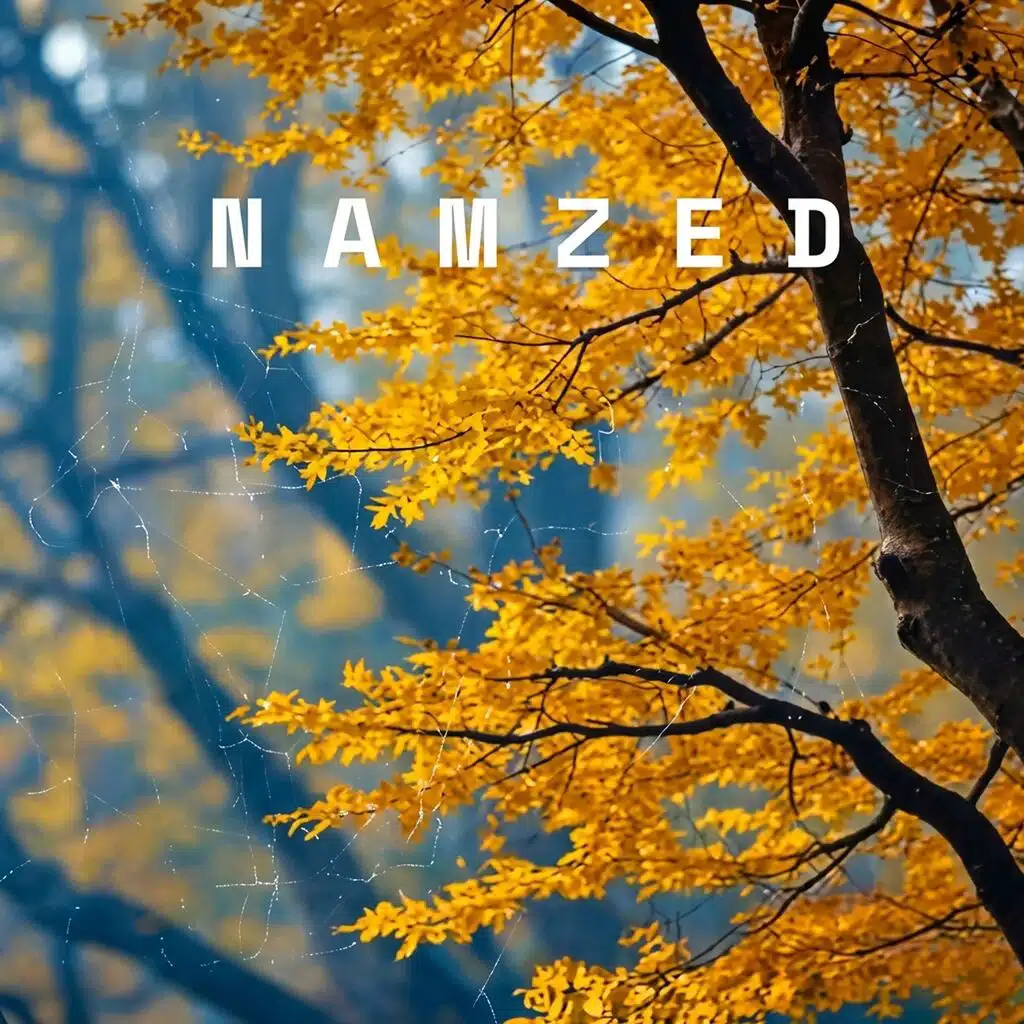 NAMZED