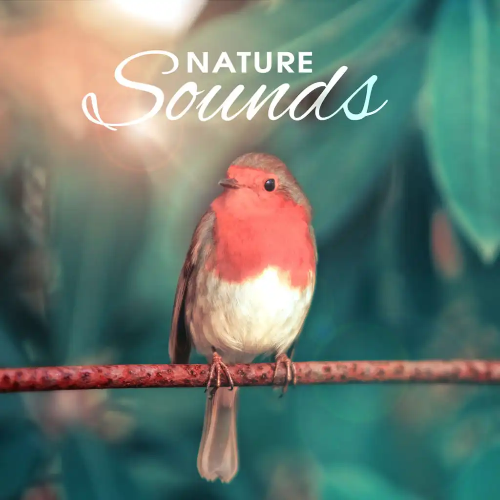 Nature Sounds