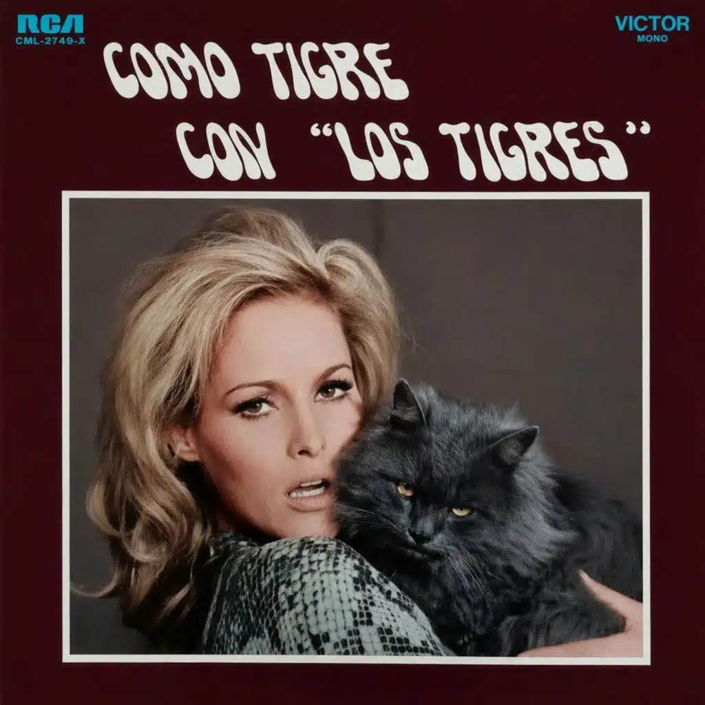 Como Tigre Con "Los Tigres"