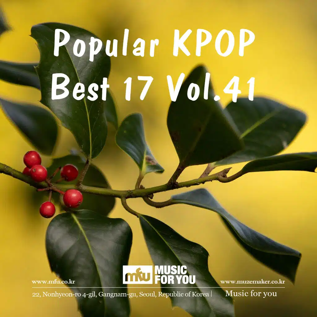 Popular KPOP Best 16 Vol.41