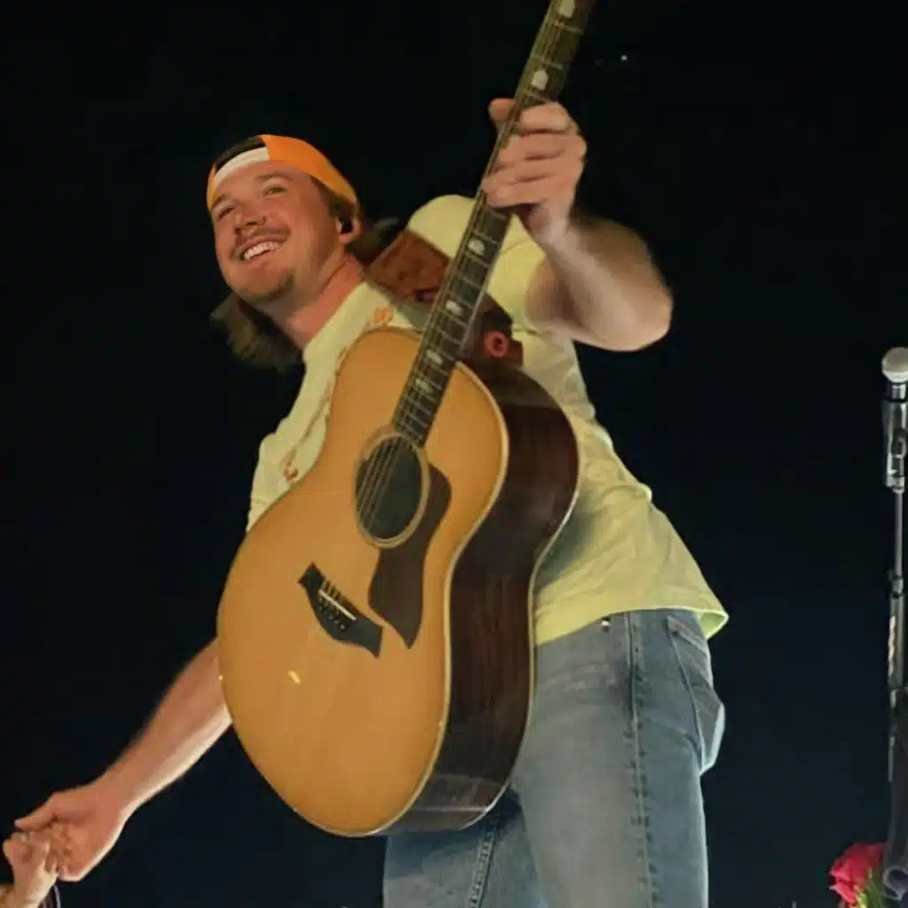 Morgan Wallen - I'm The Problem (ALBUM)