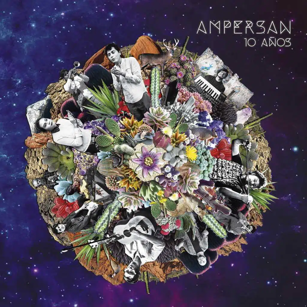 Pajarillo Jilguero (Tradicional de Guerrero) [En Vivo]